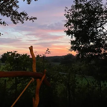 Eulennest - Tiny House Im Habichtswald