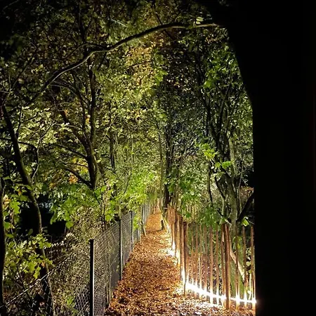 Eulennest - Tiny House Im Habichtswald 쇼엔부르크