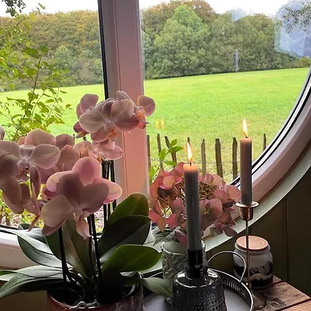 Eulennest - Tiny House Im Habichtswald