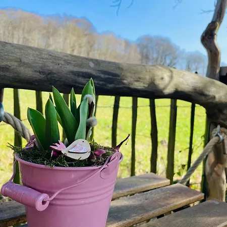 Eulennest - Tiny House Im Habichtswald Hébergement de vacances *