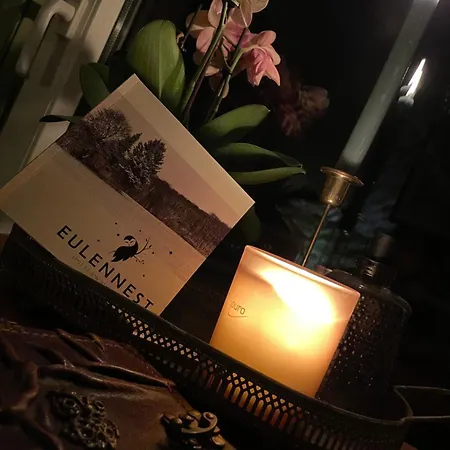 Eulennest - Tiny House Im Habichtswald Schauenburg