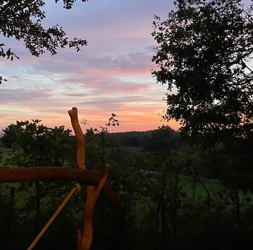 Eulennest - Tiny House Im Habichtswald