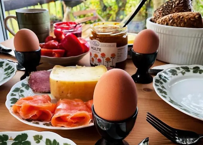 Eulennest - Tiny House Im Habichtswald بيت للعطل Schauenburg