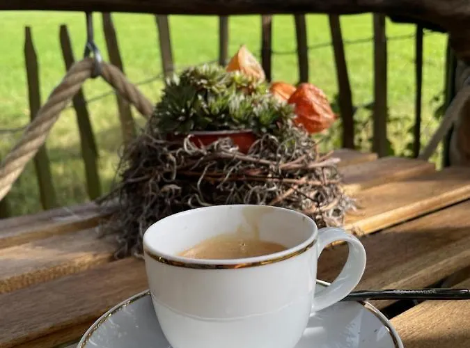Eulennest - Tiny House Im Habichtswald Schauenburg