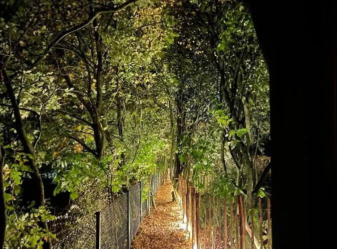 Eulennest - Tiny House Im Habichtswald Schauenburg