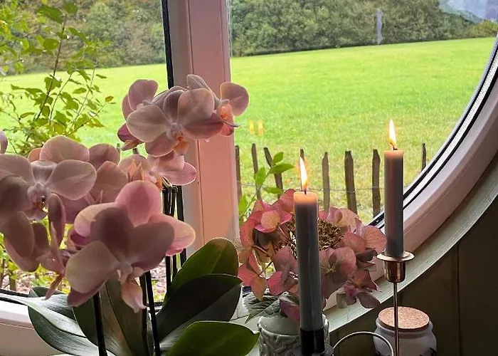 Eulennest - Tiny House Im Habichtswald