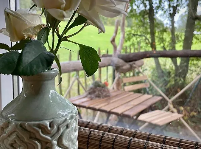 Eulennest - Tiny House Im Habichtswald بيت للعطل