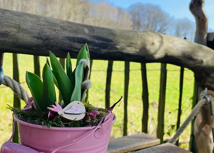 Eulennest - Tiny House Im Habichtswald بيت للعطل *