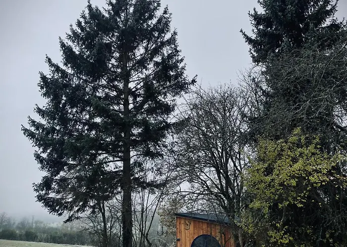 Eulennest - Tiny House Im Habichtswald بيت للعطل Schauenburg